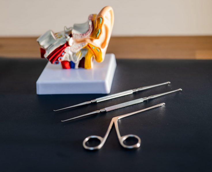 ear wax removal tools with an anatomical ear model at Kensington Hearing